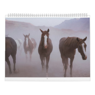 Calendrier Chevaux Moab