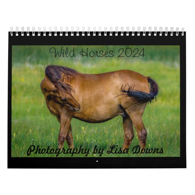 Calendrier Chevaux sauvages 2024 (Protection)