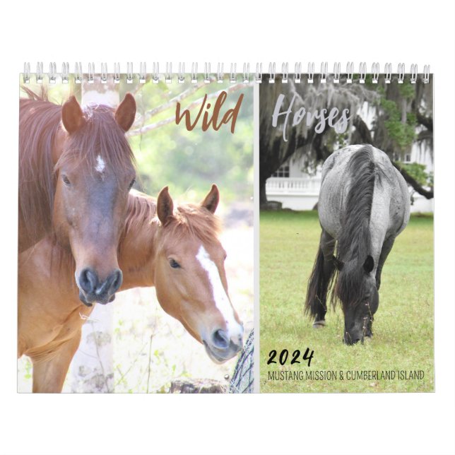 Calendrier Chevaux sauvages de la mission Mustang 2024 - Cale (Protection)