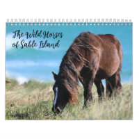 Chevaux sauvages de l'île de Sable