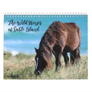 Calendrier Chevaux sauvages de l'île de Sable
