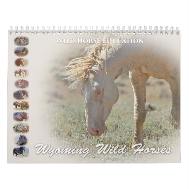 Calendrier Chevaux sauvages du Wyoming (Protection)