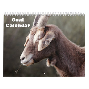 Calendrier Chèvre 2026