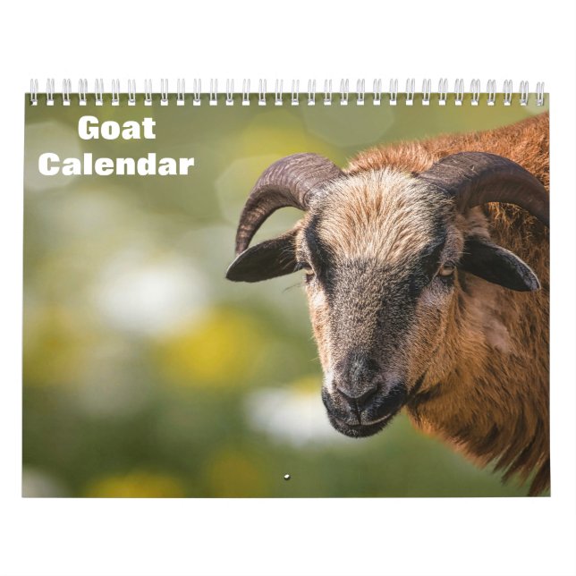 Calendrier Chèvre 2027 (Protection)