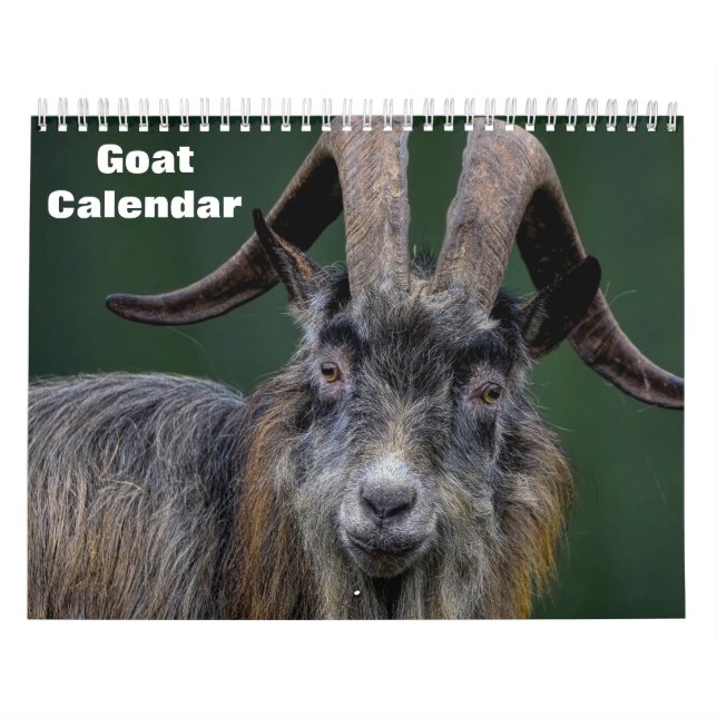 Calendrier Chèvre 2027 (Protection)
