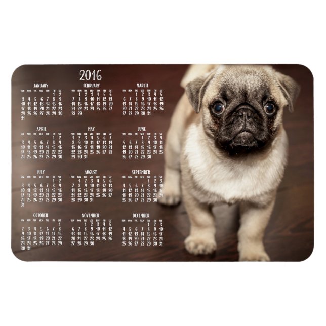 Calendrier Chien 2016 Photo Grand Magnet 4x6 (Horizontal)