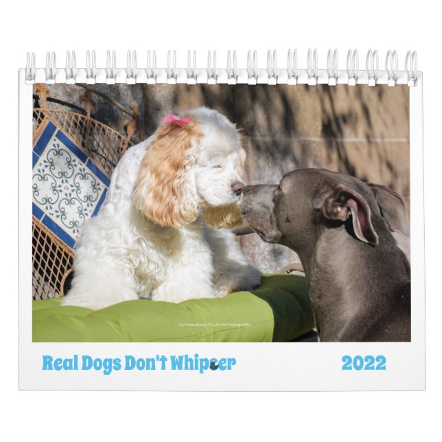 Calendrier Chien 2022 Éclairez Vos Journées Avec L (Protection)