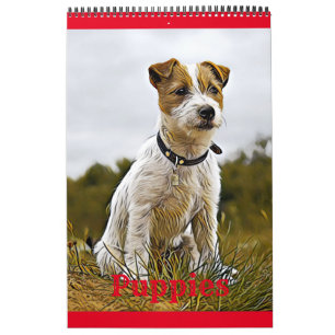 Calendrier Chien chiot
