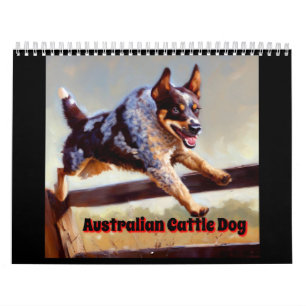 Calendrier Chien de bétail australien