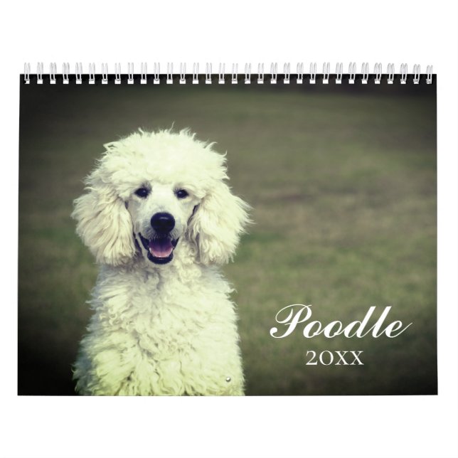 Calendrier Chien de caniche mignon (Protection)