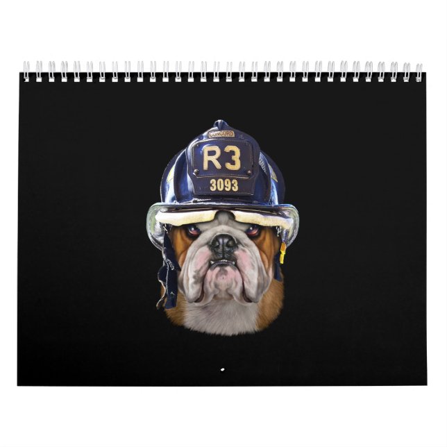 Calendrier Chien de taureau anglais grognon portant un casque (Protection)