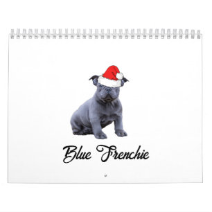 Calendrier Chien de taureau bleu