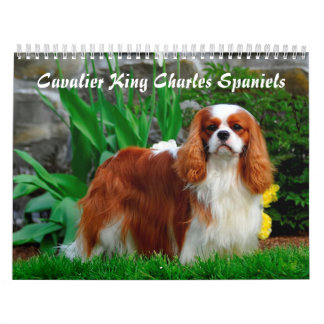 Calendrier Chien espagnol du roi Cavalier Charles