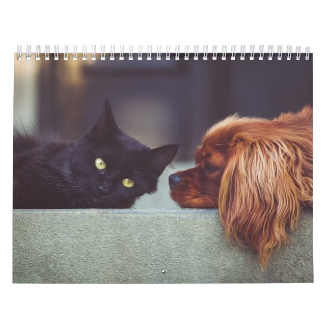 Calendrier chien et chat (Protection)