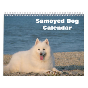 Calendrier Chien Samoyé 2025