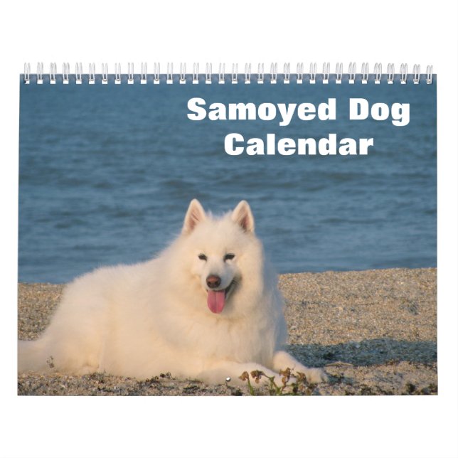 Calendrier Chien Samoyé 2025 (Protection)