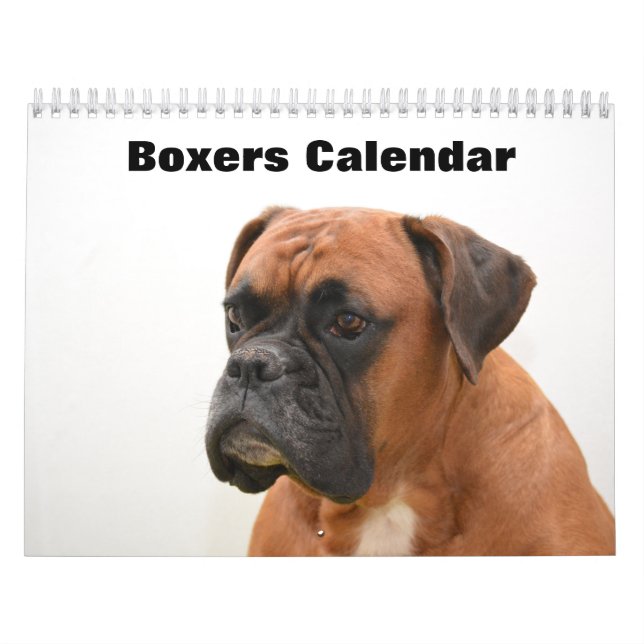 Calendrier Chiens de boîte 2025 (Protection)