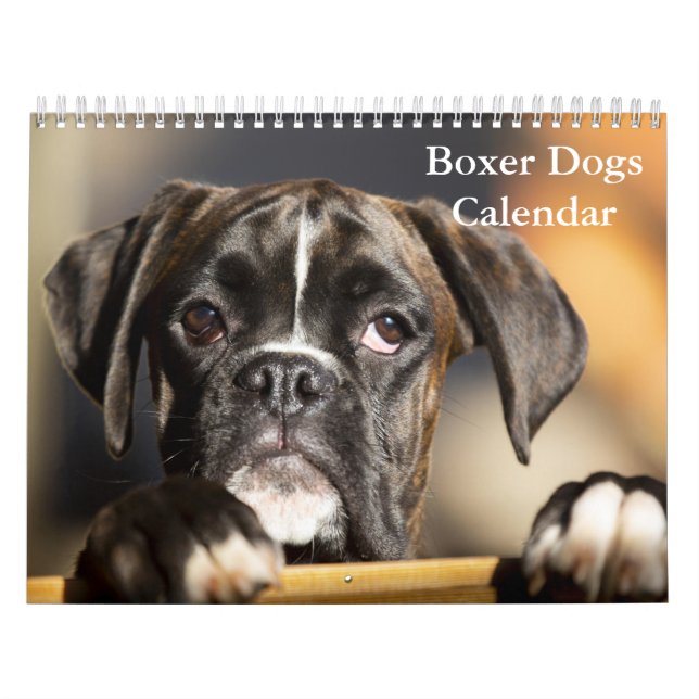 Calendrier Chiens de boîte 2025 (Protection)