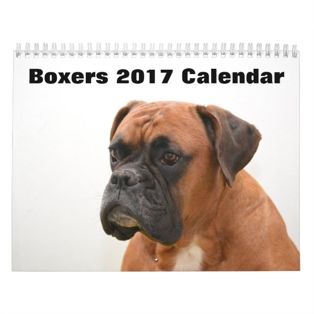 Calendrier Chiens de boxe 2017 (Protection)