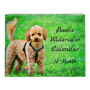 Calendrier Chiens de caniche de 12 mois Aquarelle Poodles Pei