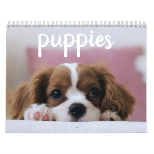 Calendrier Chiens de chiots mignons