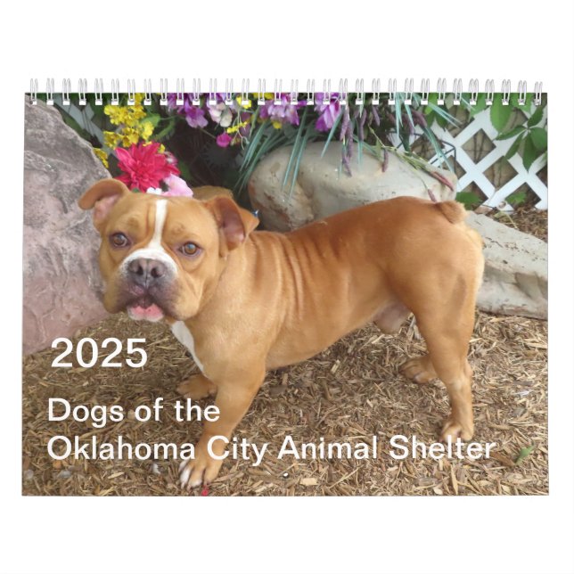 Calendrier Chiens de l'abri animal de Oklahoma City 2025 (Protection)