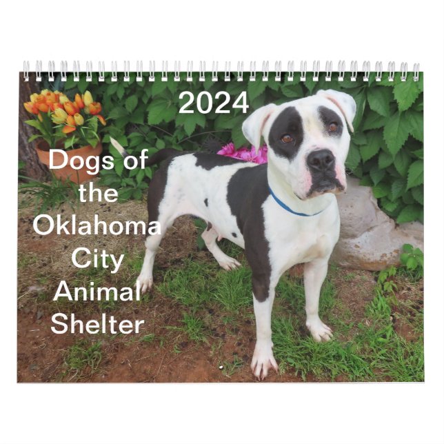 Calendrier Chiens de l'abri animalier d'Oklahoma City 2024 (Protection)