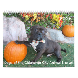 Calendrier Chiens de l'Oklahoma City Animal Shelter Calendrie