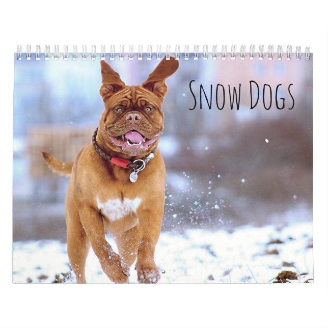 Calendrier Chiens de neige (Protection)