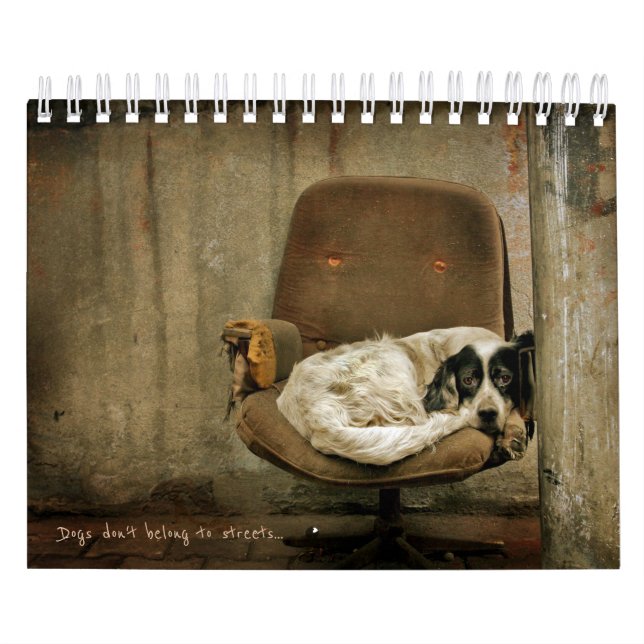 Calendrier Chiens de rue (Protection)