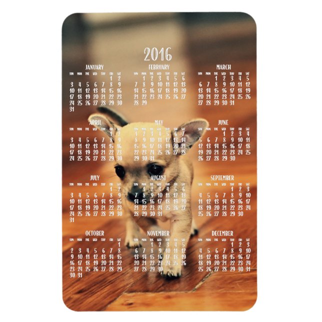 Calendrier Chihuahua 2016 Magnet photo 4x6 grand (Vertical)