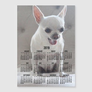 Calendrier Chihuahua 2019 Carte photo magnétique 5