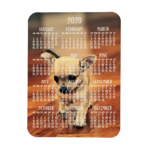 Calendrier Chihuahua 2020 Magnet photo 3x4 petit