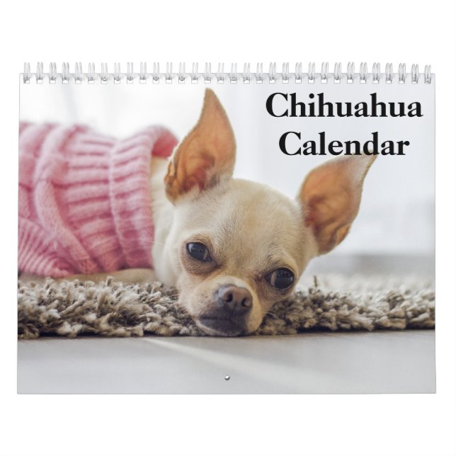Calendrier Chihuahua 2025 (Protection)