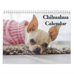 Calendrier Chihuahua 2025