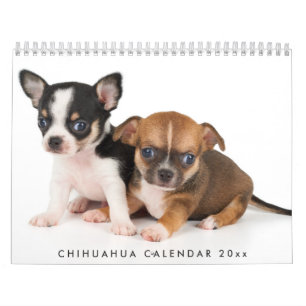 Calendrier Chihuahua 2026 Ajouter Vos Photos
