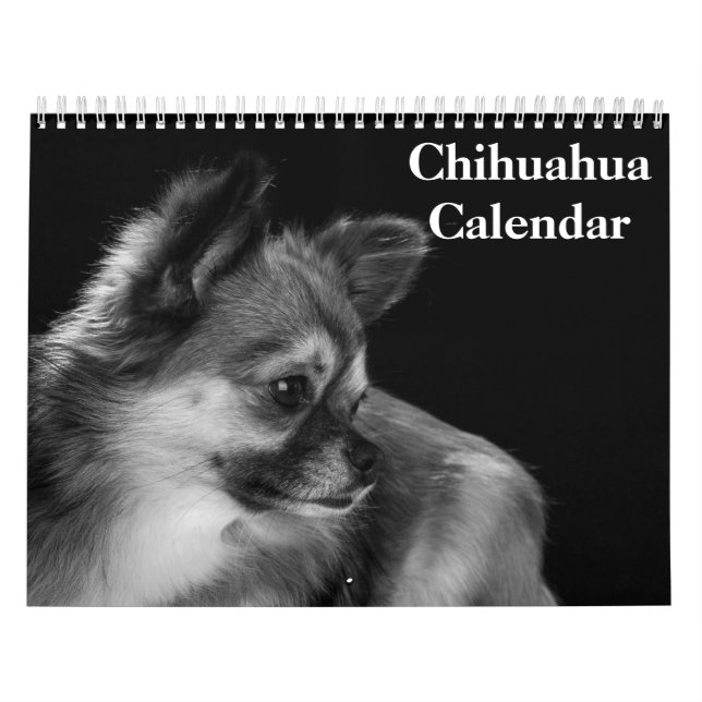Calendrier Chihuahua 2027 (Protection)