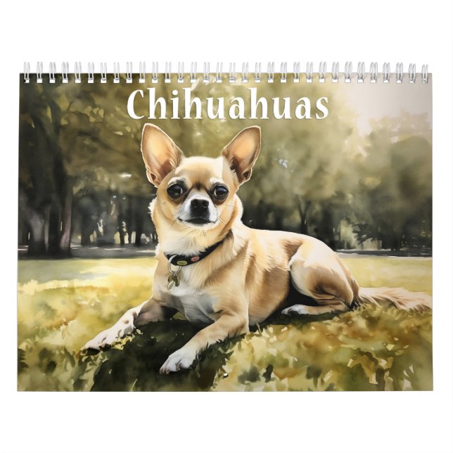 Calendrier Chihuahua, chaque année (Protection)