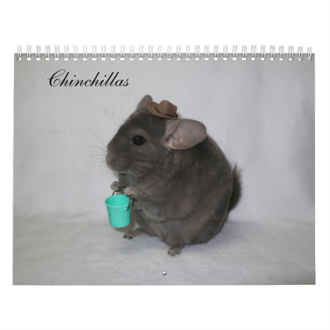 Calendrier Chinchilla (Protection)