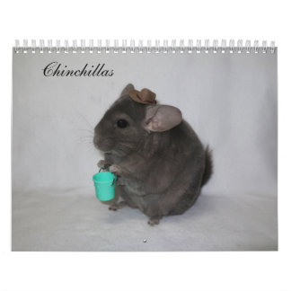 Calendrier Chinchilla