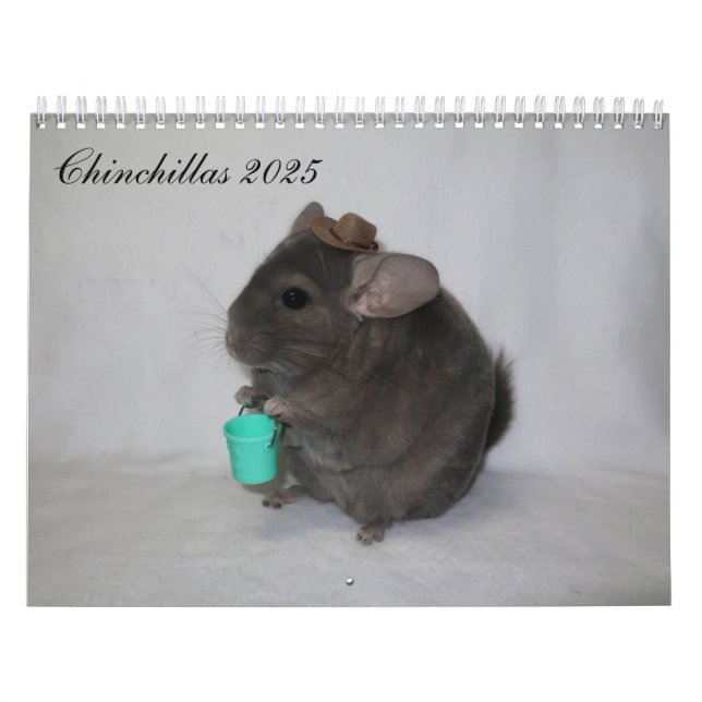 Calendrier Chinchilla (Protection)