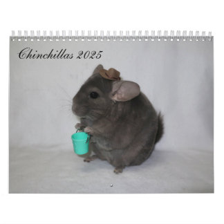 Calendrier Chinchilla