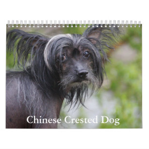 Calendrier chinois des chiens de race
