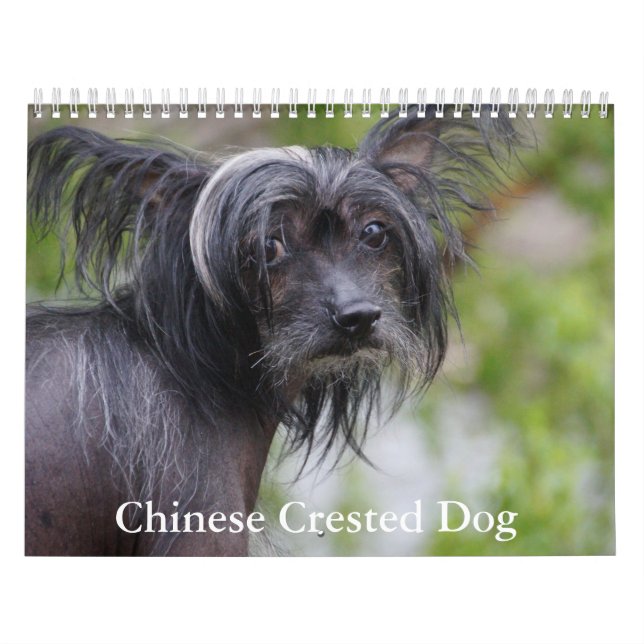 Calendrier chinois des chiens de race (Protection)