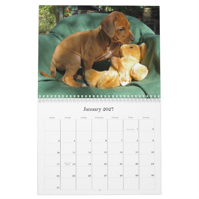 Calendrier Chiots 2012 de Rhodesian Ridgeback (Jan 2027)