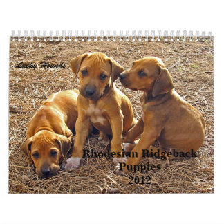 Calendrier Chiots 2012 de Rhodesian Ridgeback