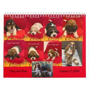 Calendrier Chiots de Basset hound