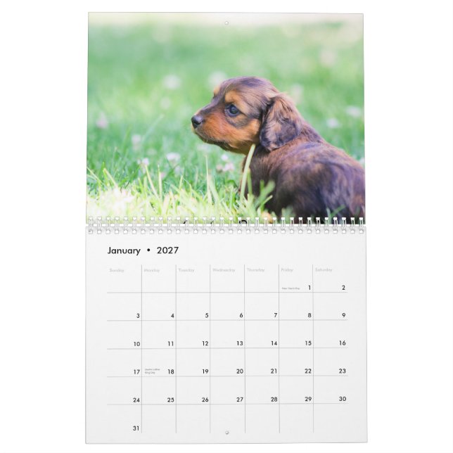 Calendrier Chiots de Dachshund 2014 (Jan 2027)