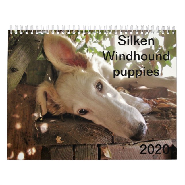 Calendrier Chiots de la vallée de la Silken 2020 (Protection)