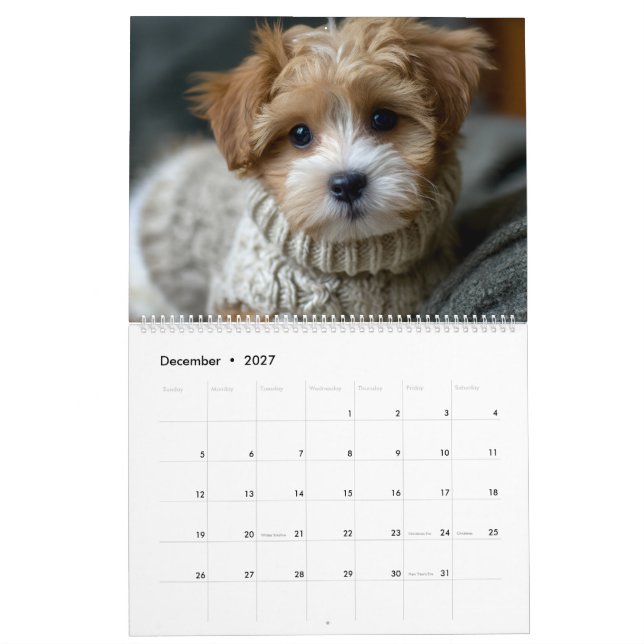Calendrier Chiots en Pulls (Dec 2027)